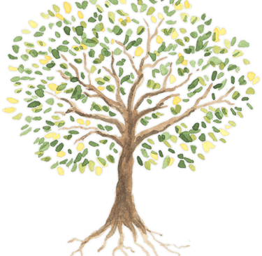 tree rotted in craft and raised in quality
