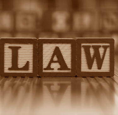 Information Technology Law