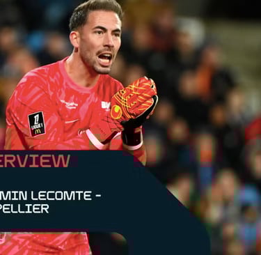 benjamin lecomte statistiques de benjamin lecomte benjamin lecomte equipe de france zgawsbet