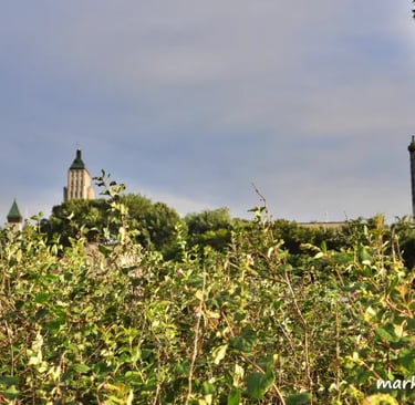 Édfice Price vu du Vieux port