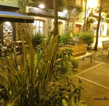 Québec en vrac, Bancs publics