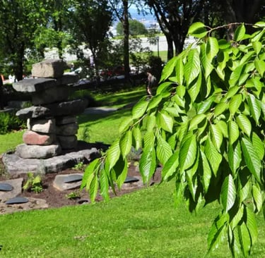 Inuksuk, jardins du Parlement