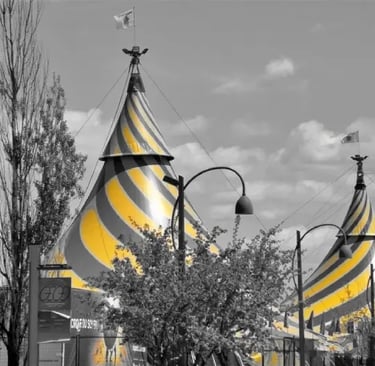 Cirque du Soleil