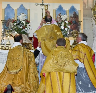Priestly Fraternity of Saint Pius X