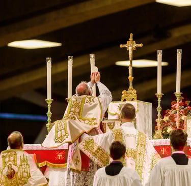 Priestly Fraternity of Saint Pius x Lourdes