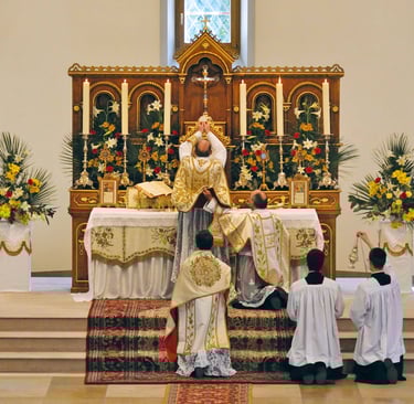 Priestly Fraternity of Saint Pius X