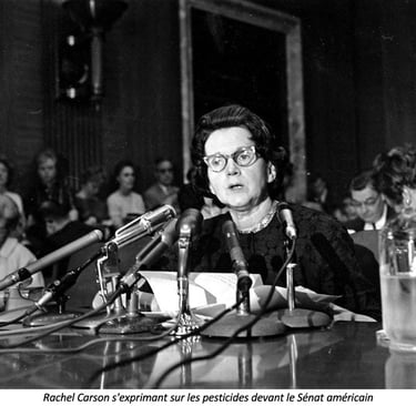 PESTICIDES LOBBYING LOBBY