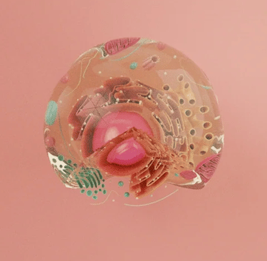 PESTICIDES MODES D'ACTION