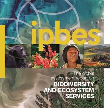 PESTICIDES LOBBYING LOBBY