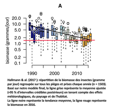 PESTICIDES BIODIVERSITÉ EXTINCTION MASSE INSECTES