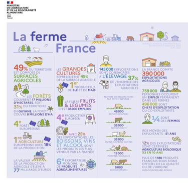 PESTICIDES AGRICULTURE CARTES INFOGRAPHIES