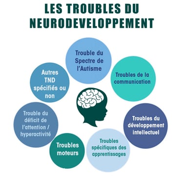 PESTICIDES SANTÉ ENFANTS TROUBLES NEURODEVELOPPEMENT