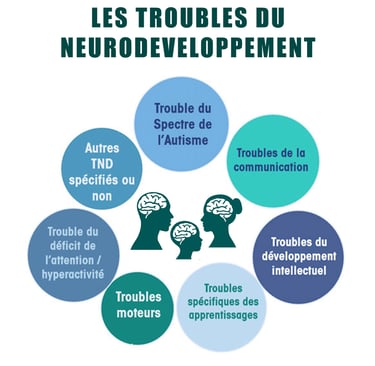 PESTICIDES SANTÉ TROUBLES NEURODEVELOPPEMENT