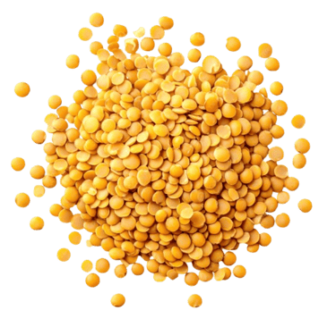 toor dal trader