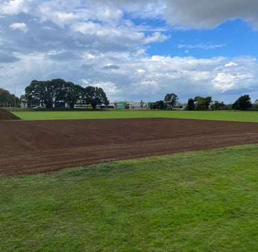 Cricket Wicket Renovation