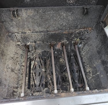 weber bbq deep cleaning service
