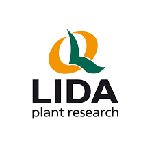 Lida plant research