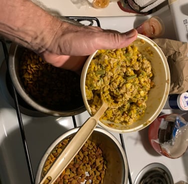 Bowl of homemade dogfood being served