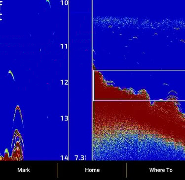 CHIRP suspension fish on garmin sonar
