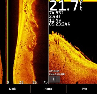 image verticale et latérale avec les structures