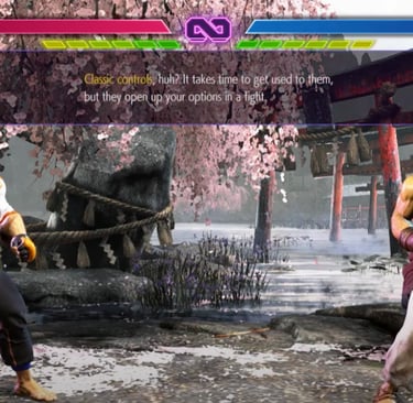 Immagine allenamento Street Fighter 6
