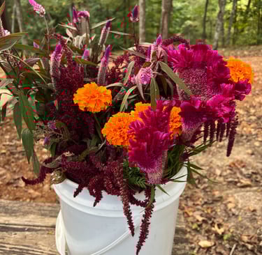 Love the warm, deep tones of these flowers.