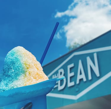 Shaved ice, Auburn, Opelika area