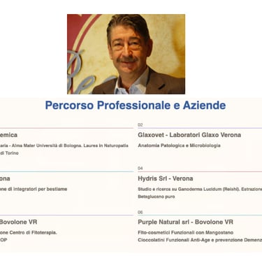 dr Antonio (Ton)i Masini Percorso professionale