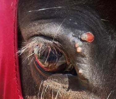 after 3 months on TURMERIC-BASED supplementt