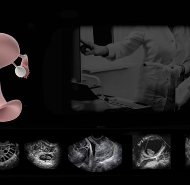 Panel of anatomy and hands-on transvaginal pelvic ultrasound images. 