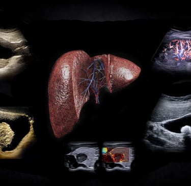 Montage of ultrasound images with Doppler to show abdominal findings in the aorta, liver, kidneys, gallbladder, and thyroid.