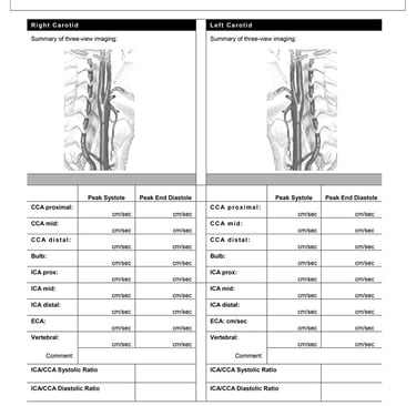 Duplex ultrasound carotid & vertebral artery worksheet