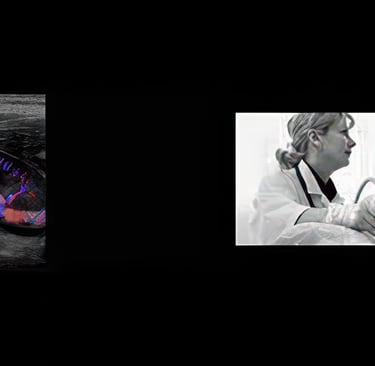 Banner showing professionals using ultrasound after our hands-on training courses.