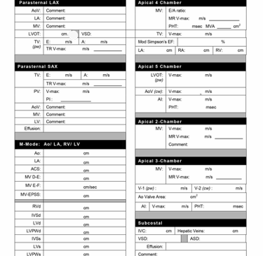 Echocardiogram worksheet.