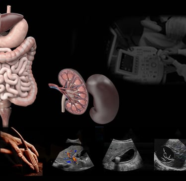 Panel of anatomy and hands-on abdominal ultrasound images. 