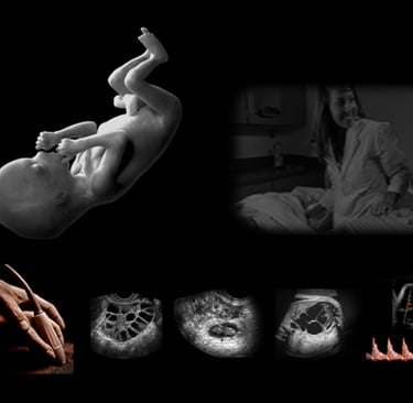 Panel of anatomy and hands-on obstetric and fetal ultrasound images. 
