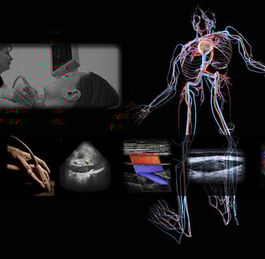 Ultrasound images of the arterial and venous vascular system.
