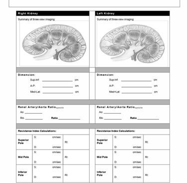 Duplex ultrasound renal Doppler worksheet.