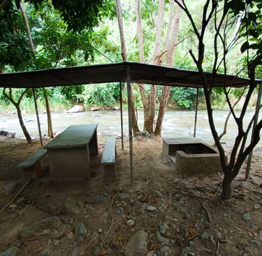 Cocina de leña
