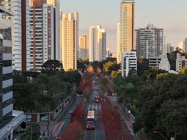 imagem de drone feita da rua do outono, em Curitiba