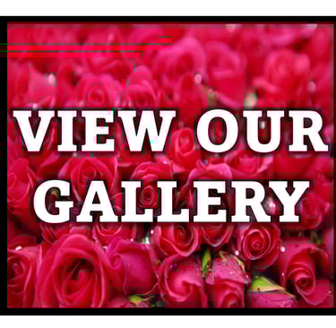 garden nursery roxbury NJ plants shrubs trees