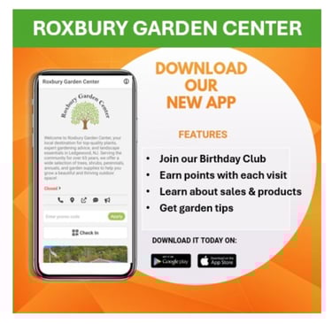 garden nursery roxbury NJ plants shrubs trees