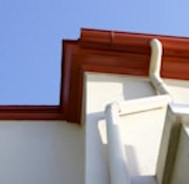 Gutter cleaning near me