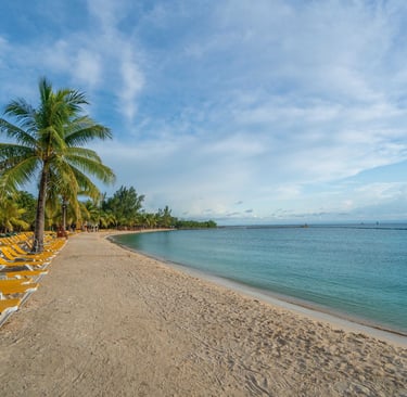 Beach Vacations