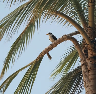 Close-up of a cozy hoodie featuring colorful Antigua island pride artwork.