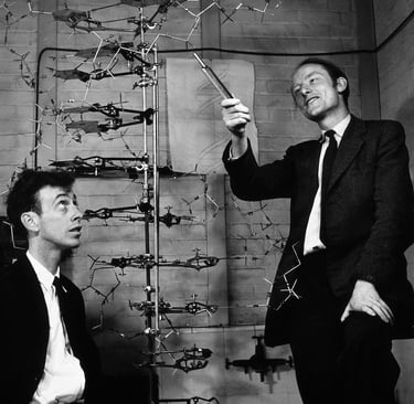 Watson and Crick