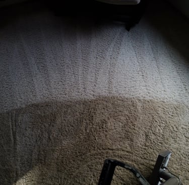 Carpet cleaning - before and after - dirty white carpet