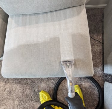 Upholstery cleaning by Grossbusters