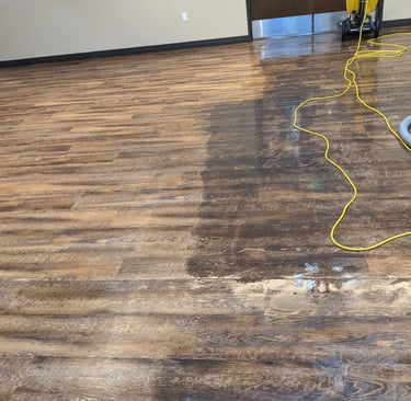 LVP floor cleaning in Olympia