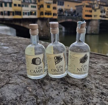Gin Terra Wild Spirits a Firenze Giovanni Campari